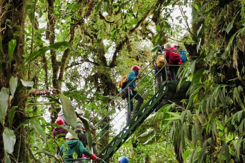 Rainforest Canopy Zipline And Hanging Bridges Tour From Monteverde - undefined - Image 5