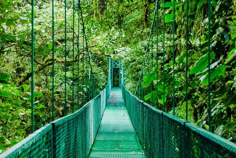 Rainforest Canopy Zipline And Hanging Bridges Tour From Monteverde - undefined - Image 6