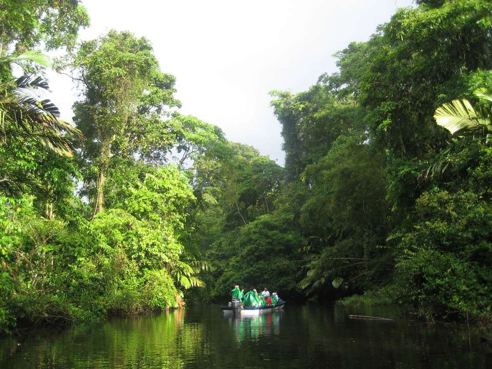 Rainforest, volcano and beach - undefined - Image 10