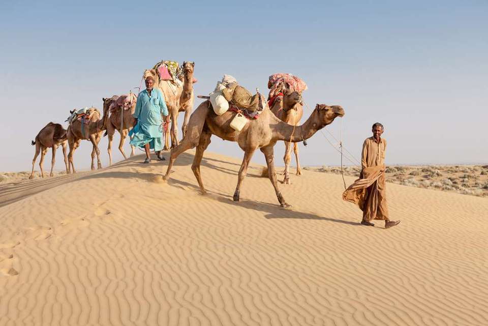 Rajasthan Experience - Intrepid Travel - India - Image 13