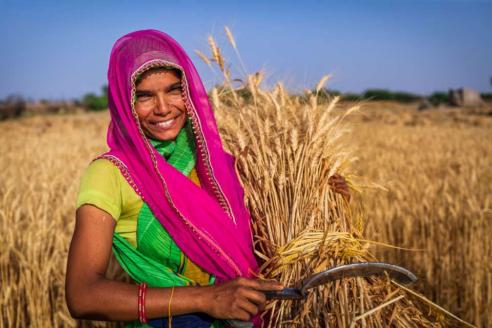 Rajasthan Highlights by Bike - Exodus Adventure Travels - India - Image 6