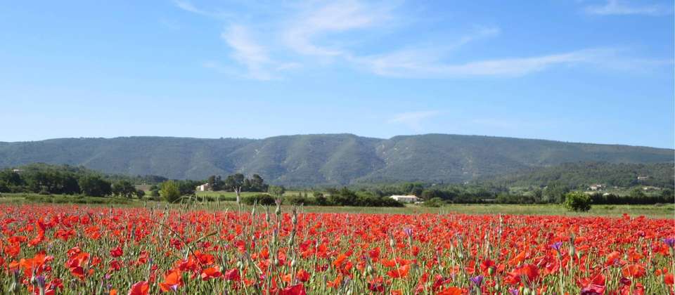 Rambling in the Luberon - Walkers' Britain - France - Image 8