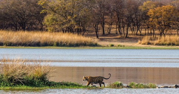 Image 2 of 8