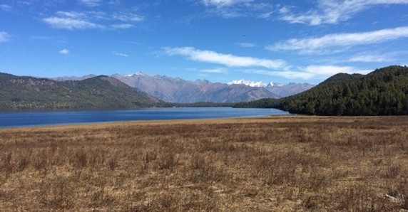 Image 5 of 5