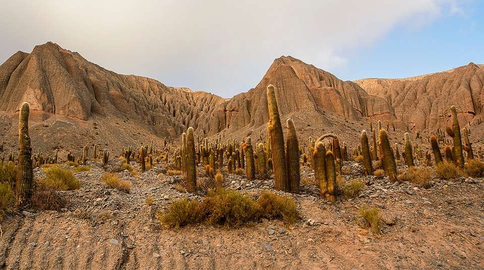 Ravines, Valleys & Folklore music - Say Hueque Argentina & Chile Journeys - Argentina - Image 3
