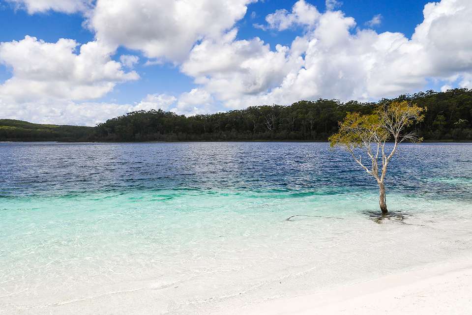 Real Australia - Intrepid Travel - Australia - Image 9