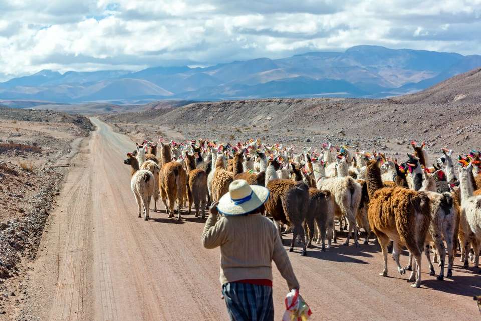 Real Bolivia & Argentina - undefined - Image 6