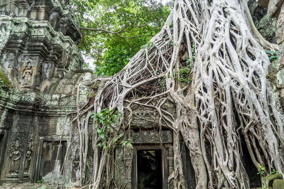 Real Cambodia - Intrepid Travel - Vietnam - Image 15