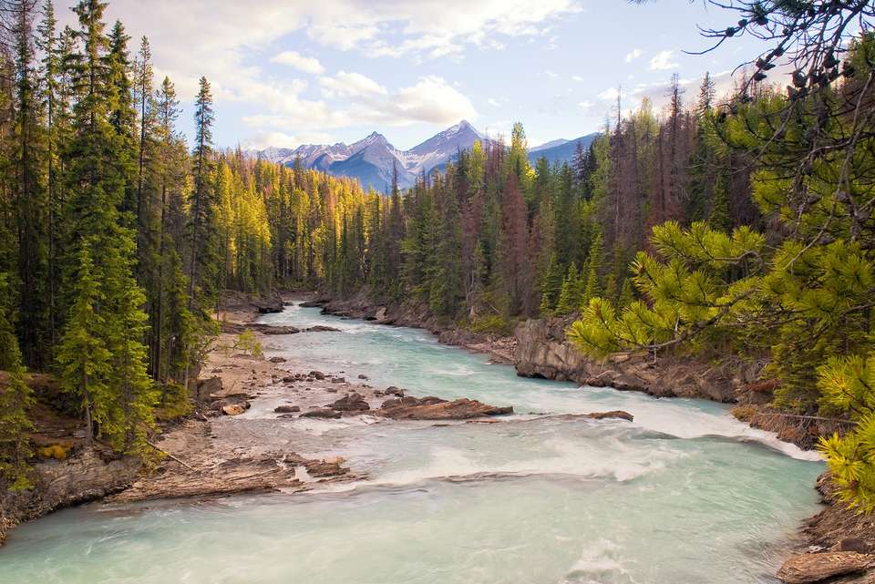 Real Canadian Rockies - Intrepid Travel - Canada - Image 4