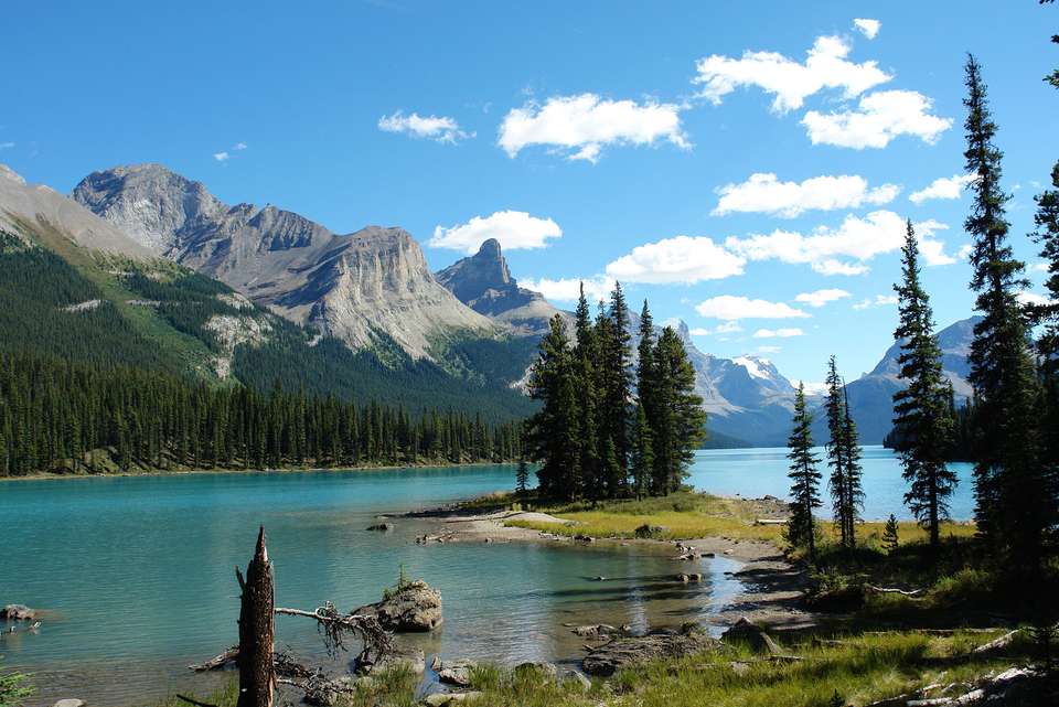 Real Canadian Rockies - Intrepid Travel - Canada - Image 7