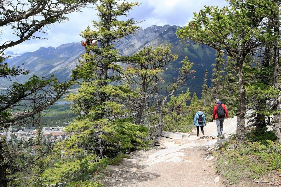Real Canadian Rockies - Intrepid Travel - Canada - Image 12