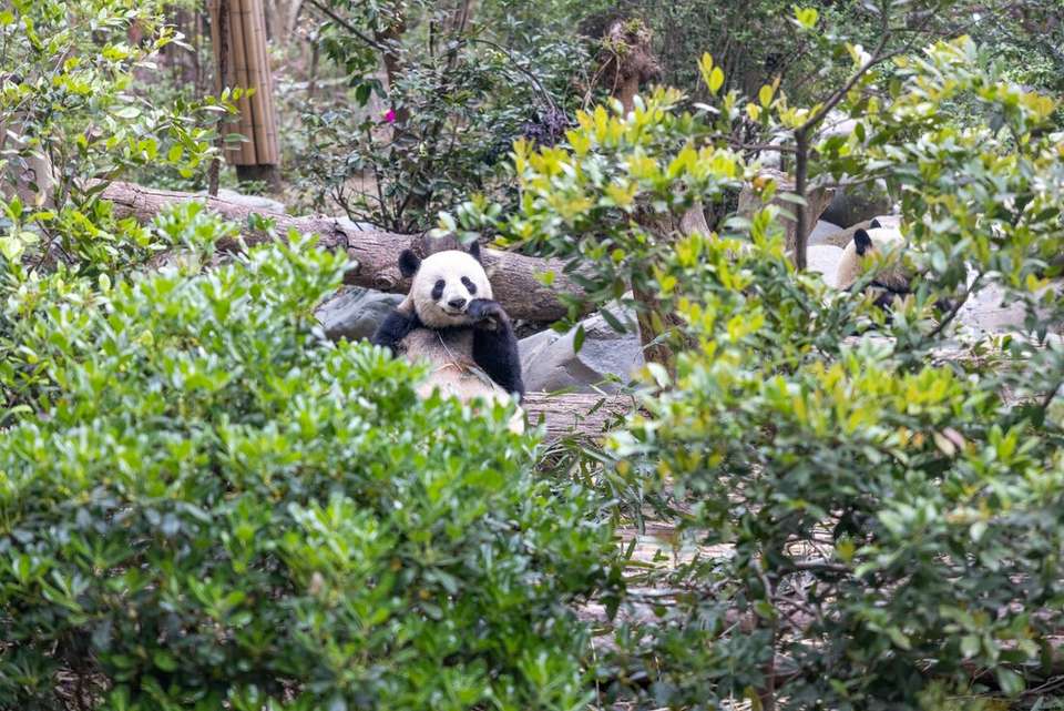Real China - Intrepid Travel - China - Image 10