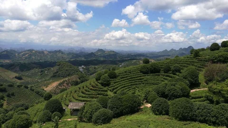 Real China Highlights - Truly China Travel - China