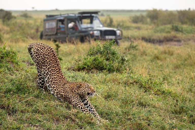 Nairobi National parks Tour: Real East Africa & Zanzibar