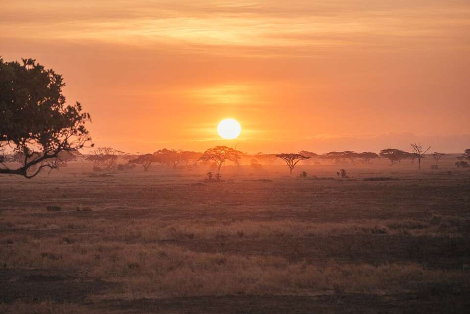 Real East Africa & Zanzibar - Intrepid Travel - Kenya - Image 6