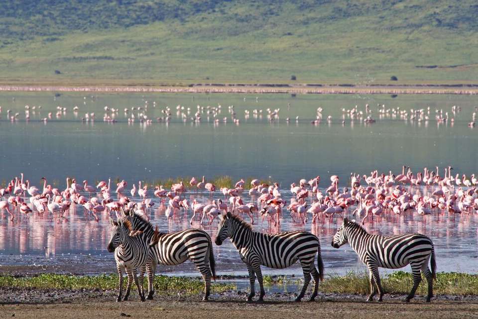 Real East Africa & Zanzibar - Intrepid Travel - Kenya - Image 7
