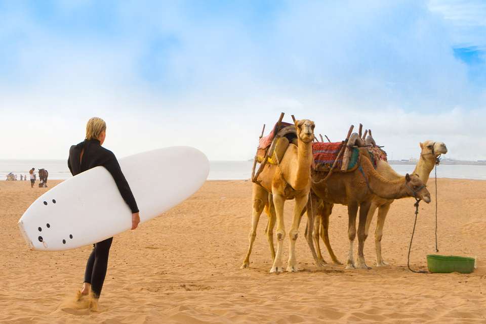 Real Morocco - Intrepid Travel - Morocco - Image 1