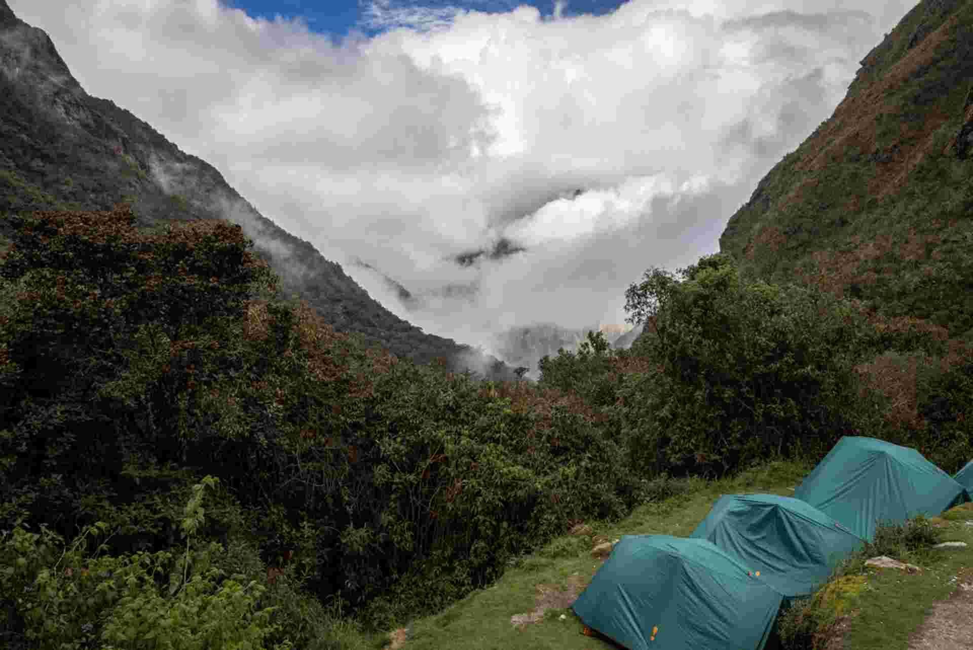Real Peru