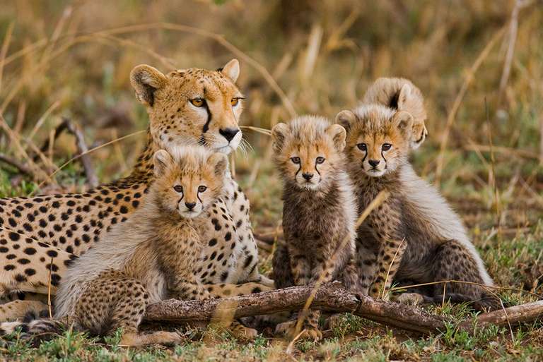 South Africa Waterfalls Tour: Real Southern Africa