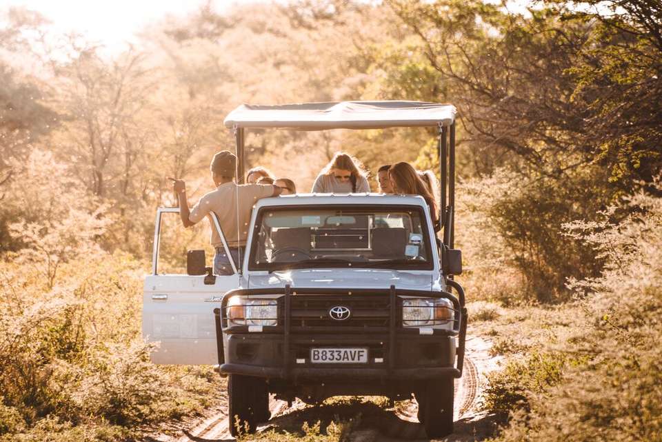 Real Southern Africa - undefined - Image 7