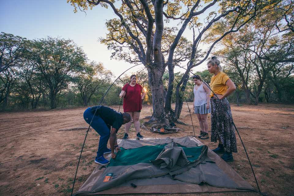 Real Southern Africa - undefined - Image 11