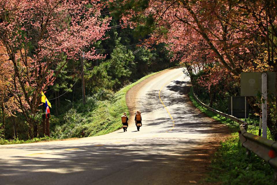 Real Thailand - Intrepid Travel - Thailand - Image 8
