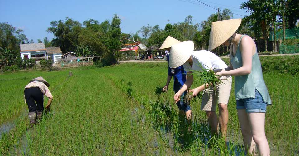 Real Vietnam Bicycle Tour - Heaven & Earth Tours - Vietnam - Image 2