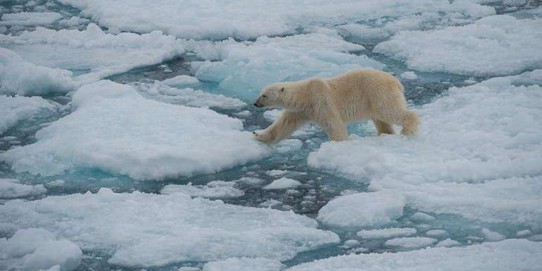 Scandinavia Trekking and Hiking Tour: Realm of the Polar Bear