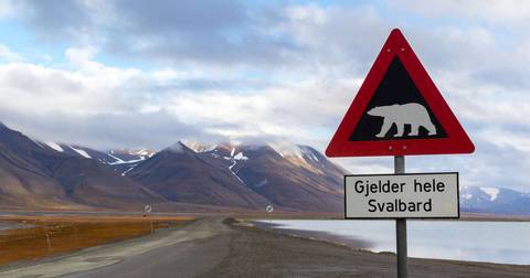 Europe Cruise Tour: Realm Of The Polar Bear - Expedition