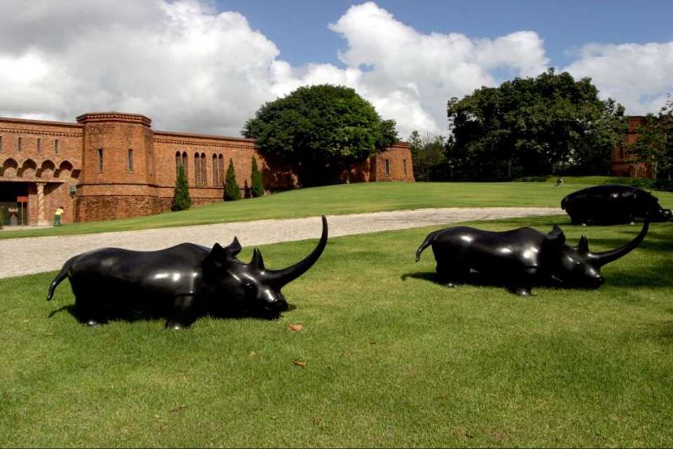 Recife and Ricardo Brennand Institute Tour - Tangol Tours - Brazil - Image 2