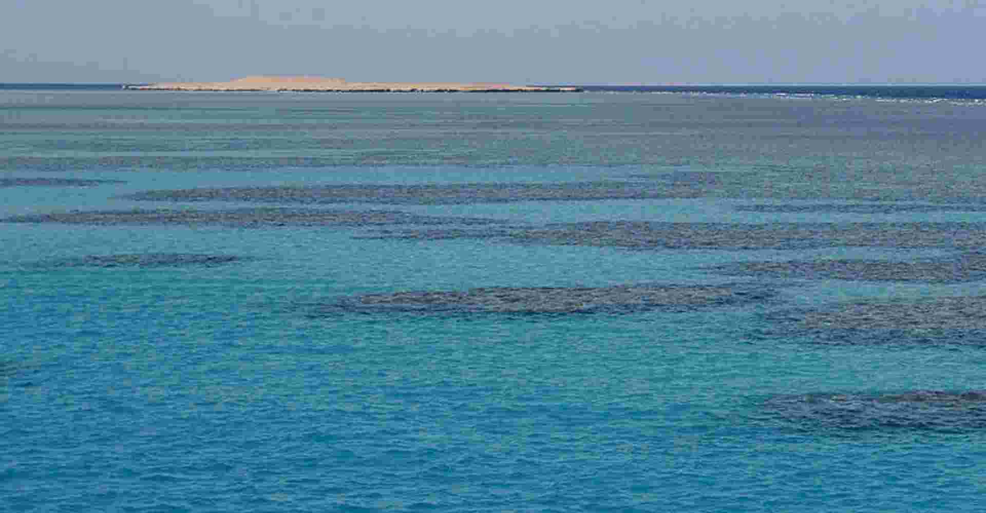 Red sea from Cairo in one day tour 