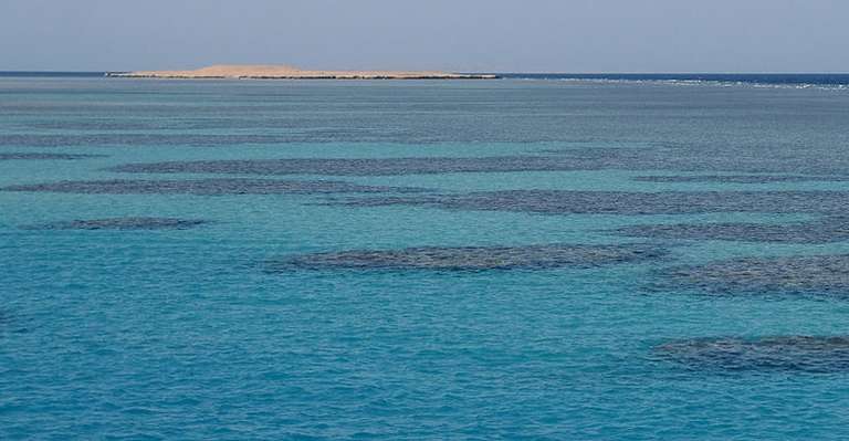 Red sea from Cairo in one day tour  trip - alternative tour available
