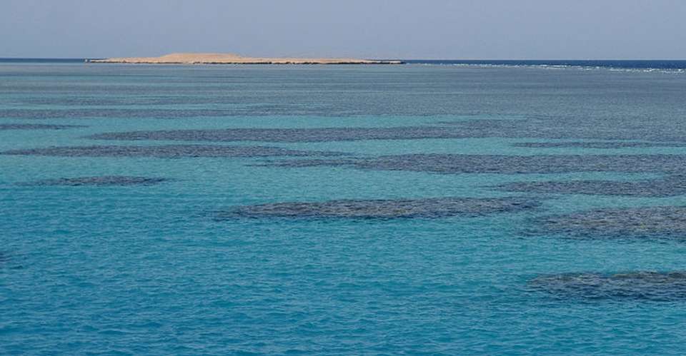 Red sea from Cairo in one day tour  - Emo Tours - Egypt - Image 1