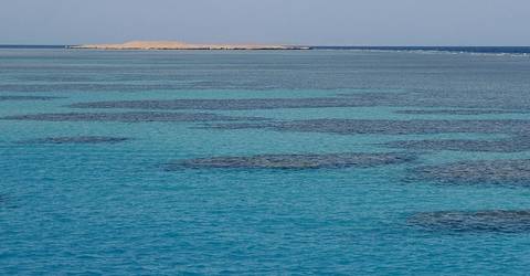 Red Sea From Cairo In One Day Tour - Fall Tours