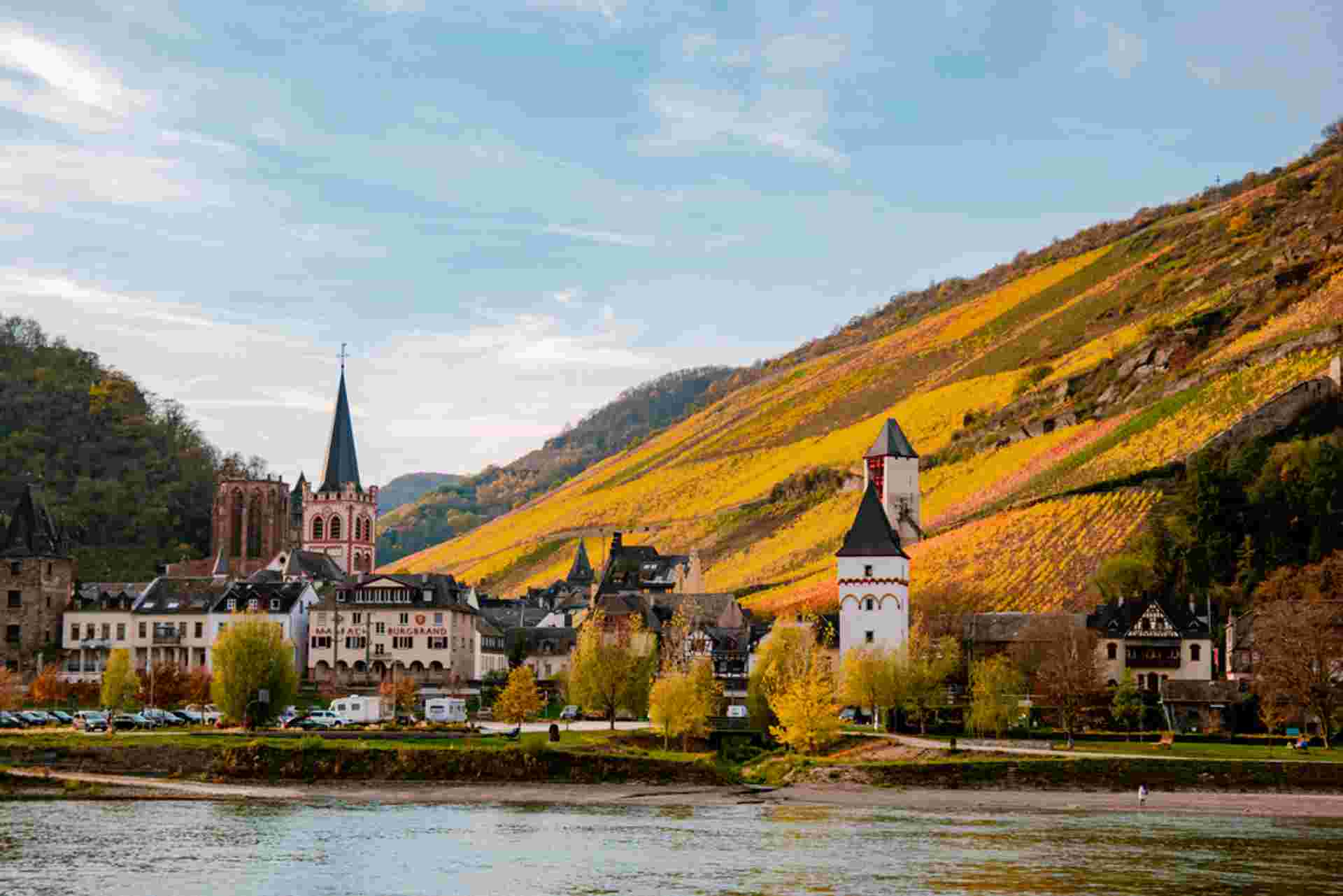Rhine Christmas Markets - Standard - MS VISTARIO