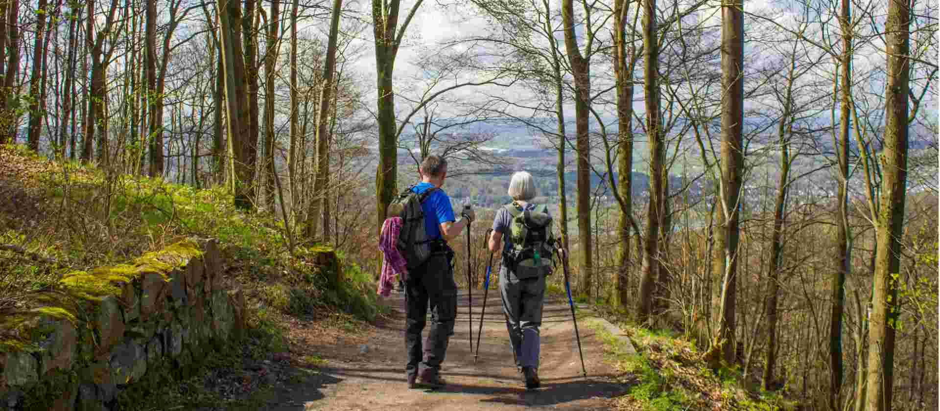 Rhine River and Castles Walk