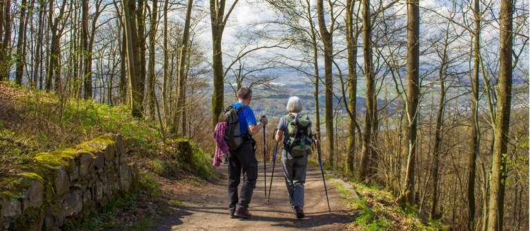 Germany Walking Tour: Rhine River and Castles Walk