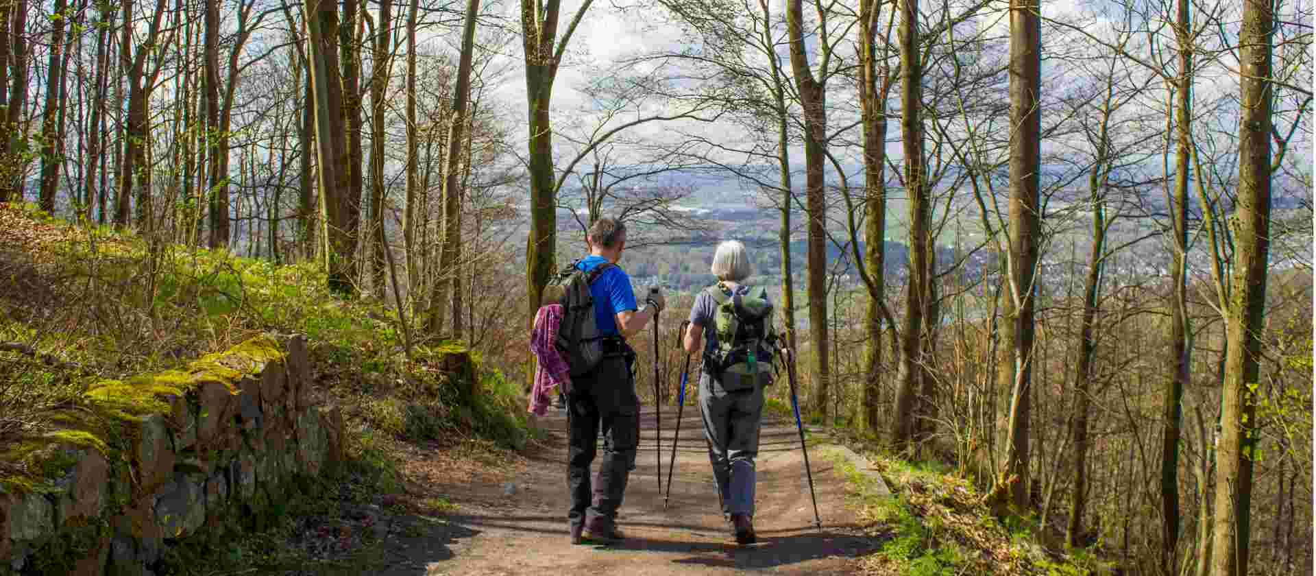 Rhine River and Castles Walk