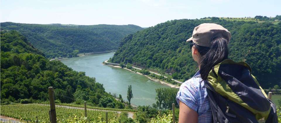 Rhine River and Castles Walk - Utracks - Germany - Image 3