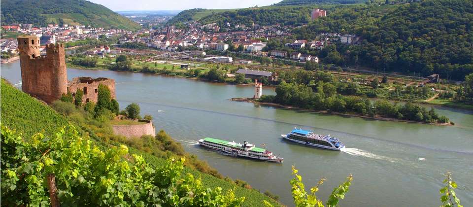 Rhine Valley Bike & Barge - Utracks - Germany - Image 6