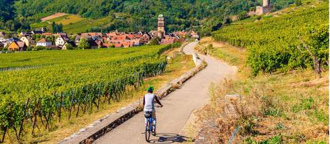 Rhine Valley Cycle - 8 Days