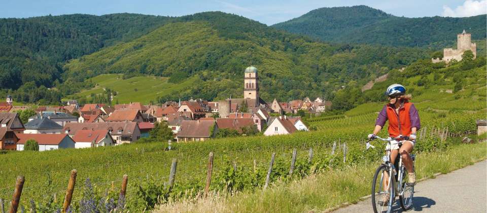 Rhine Valley Cycle - Utracks - France