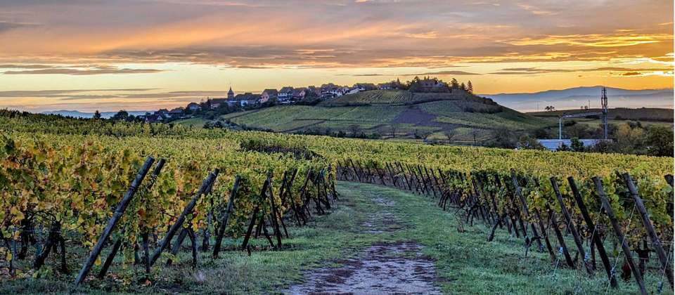 Rhine Valley Cycle - Utracks - France