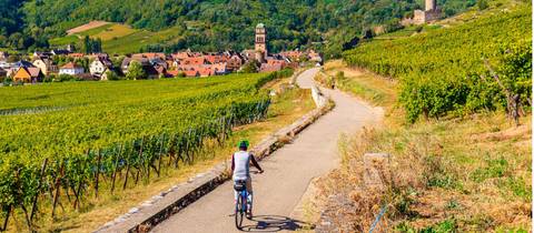 Rhine Valley Cycle - May 2026