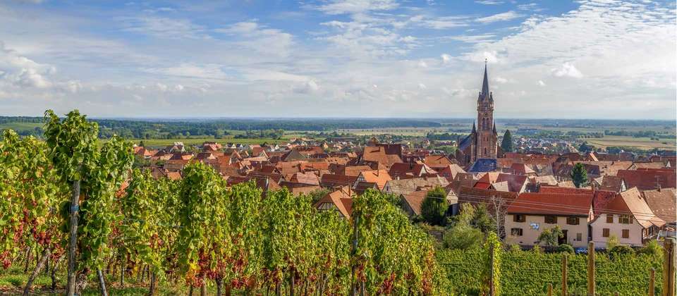 Rhine Valley Cycle - Utracks - France - Image 3