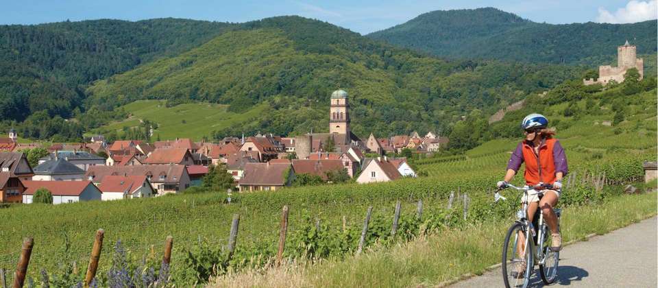 Rhine Valley Cycle - Utracks - France - Image 5