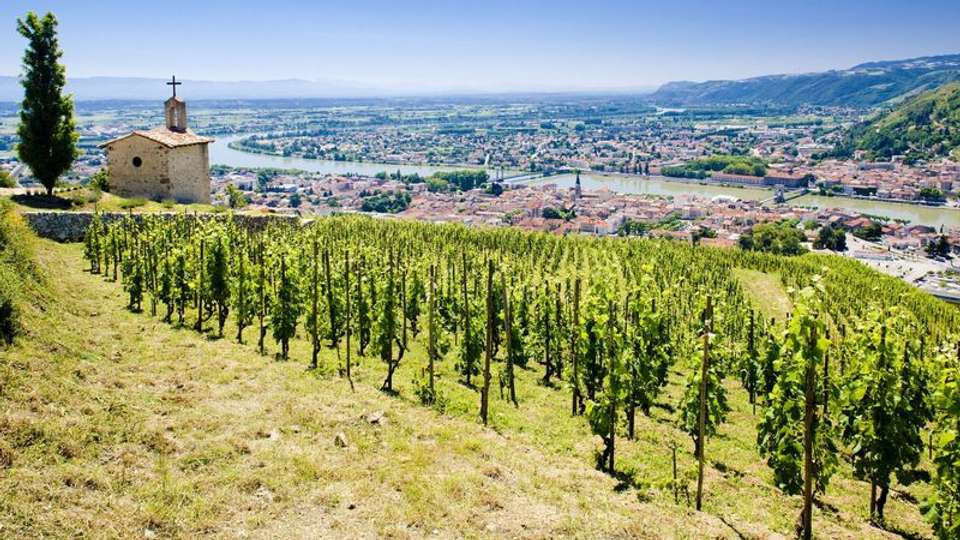 Rhône River Cruise: Between Terroir, History and Local Traditions. (Port to port) - Croisieurope - France - Image 4
