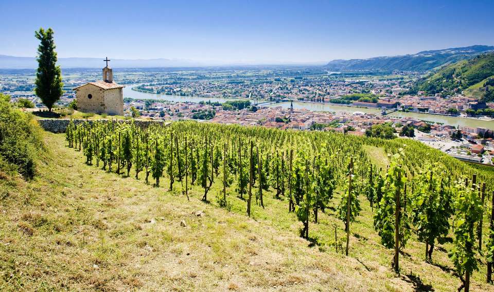 Rhône River Cruise: Between Terroir, History and Local Traditions. (Port to port) - Tweet World Travel - France - Image 3