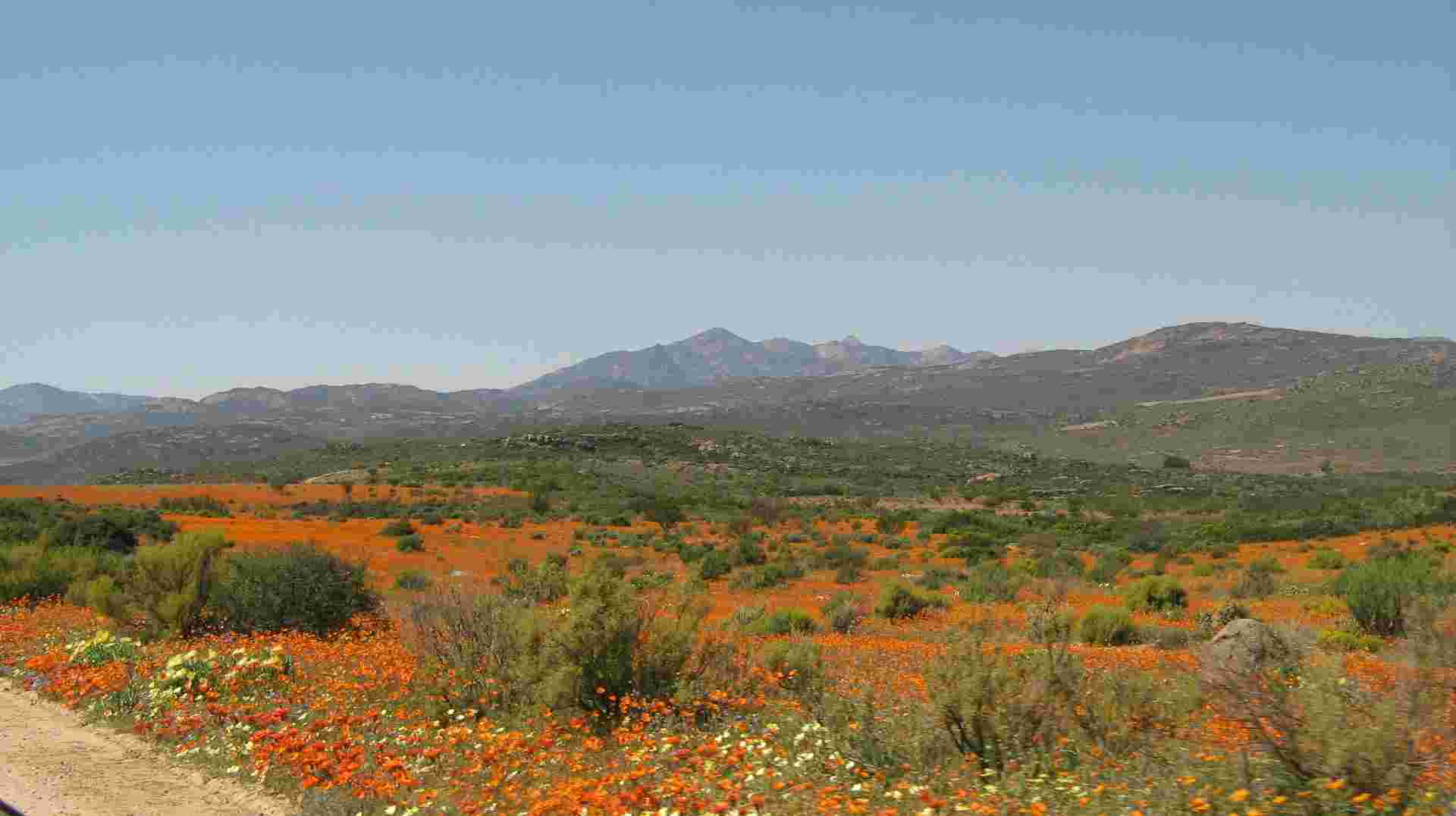 Richtersveld 4 days 5 nights