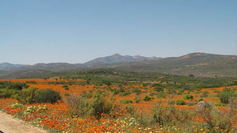 Richtersveld 4 days 5 nights - April 2027